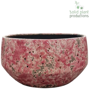 X C132 AURORA HARD PINK LARGE