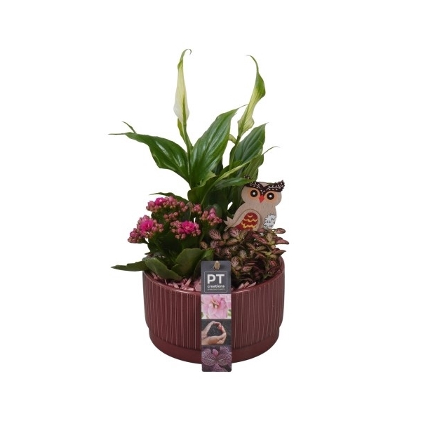 <h4>PTHI5577 Arrangement Herfst Indoor in Keramiek schaal</h4>