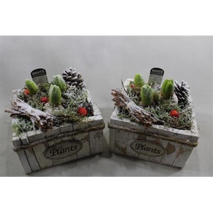 1112 Flower VK X3 HYA