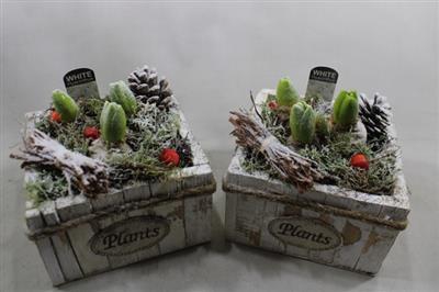 <h4>1112 Flower VK X3 HYA</h4>