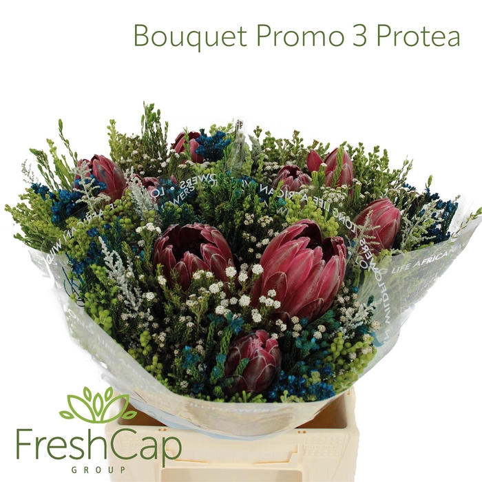 <h4>Bouquet Promo 3 Protea</h4>