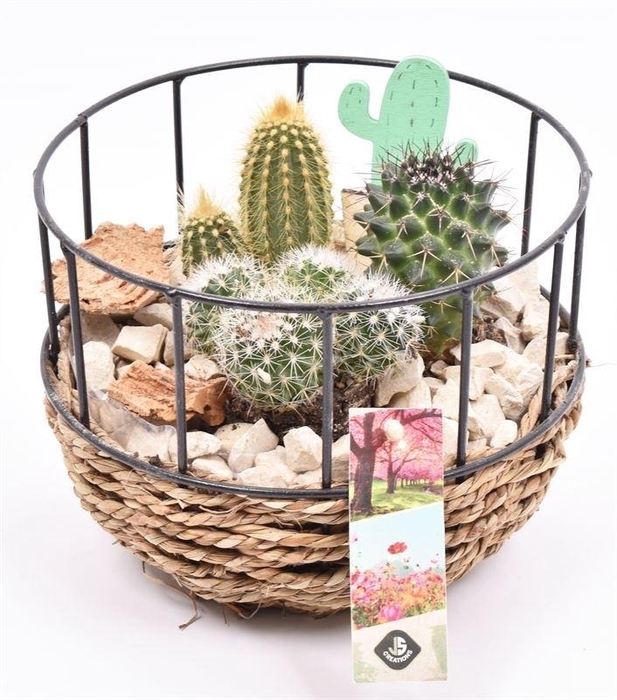 Gaasmand met touw 18cm