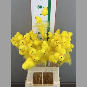 E. CHICKEN TWINS+FEATHER OP STOK