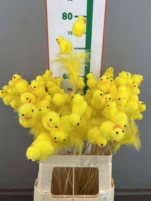 <h4>CHICKEN TWINS+FEATHER OP STOK</h4>