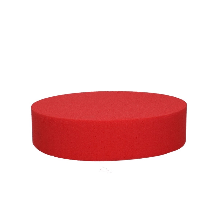 <h4>Oasis Kleur Cake d20*5cm</h4>