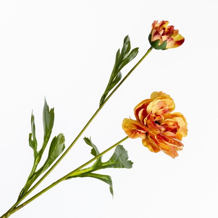 <h4>Ranunculus Spray Yellow FL440297YEL</h4>