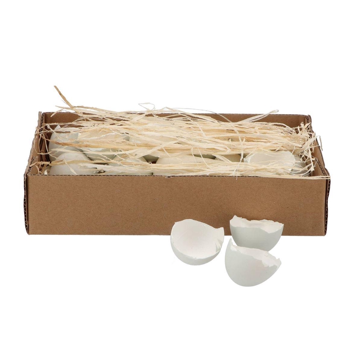 <h4>Eggs Duck Bowl Natural</h4>