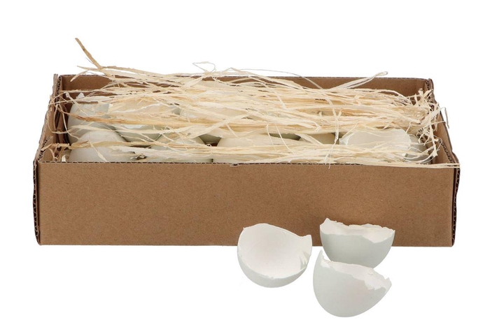 Eggs Duck Bowl Natural