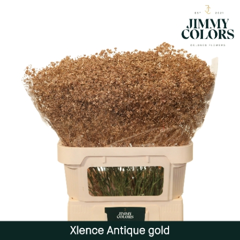 <h4>Gyps Xlence L80 Mtlc. Antique gold</h4>