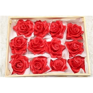WAX ROOS ROOD