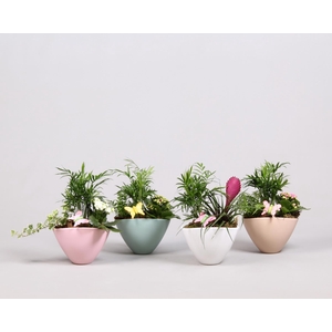 keramieken pot met plantmix arrangement Voorjaar