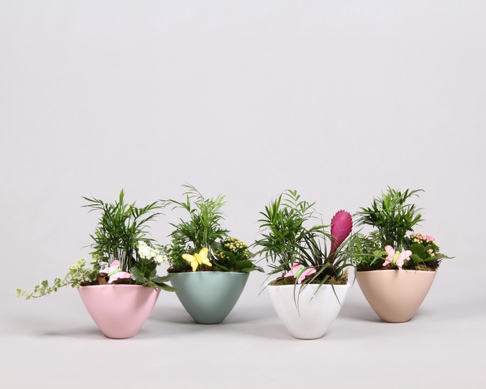 <h4>keramieken pot met plantmix arrangement Voorjaar</h4>