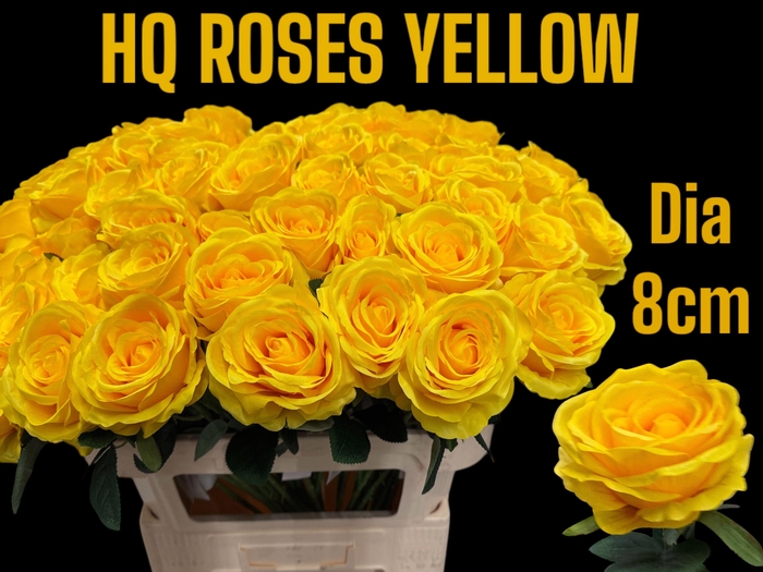 <h4>HUIS EN TUINDECO H%</h4>