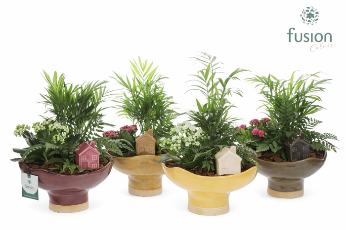 <h4>Keramiek schaal Large met Arrangement</h4>