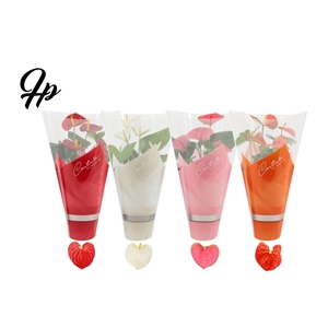 Anthurium   ...mix 4