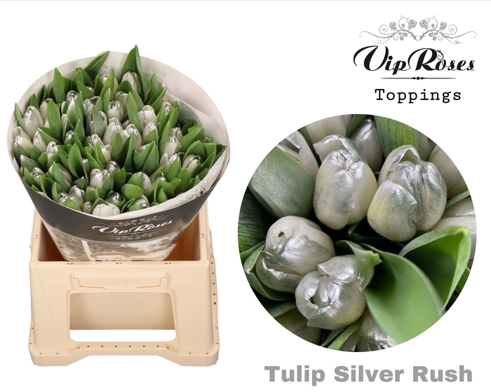 <h4>TU EN A SILVER RUSH</h4>