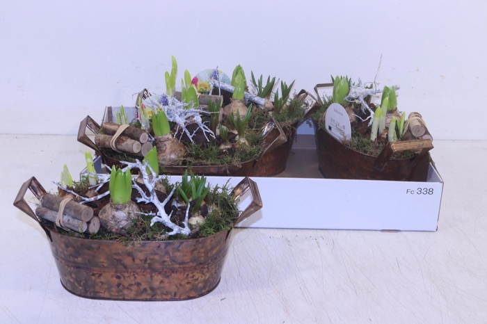 <h4>ARR BOL KNOLGEWAS</h4>