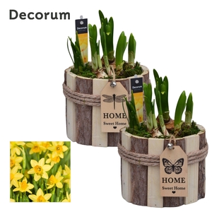 Narcis Tak Rond HL17763N