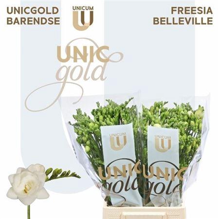 <h4>Fr Du Belleville</h4>