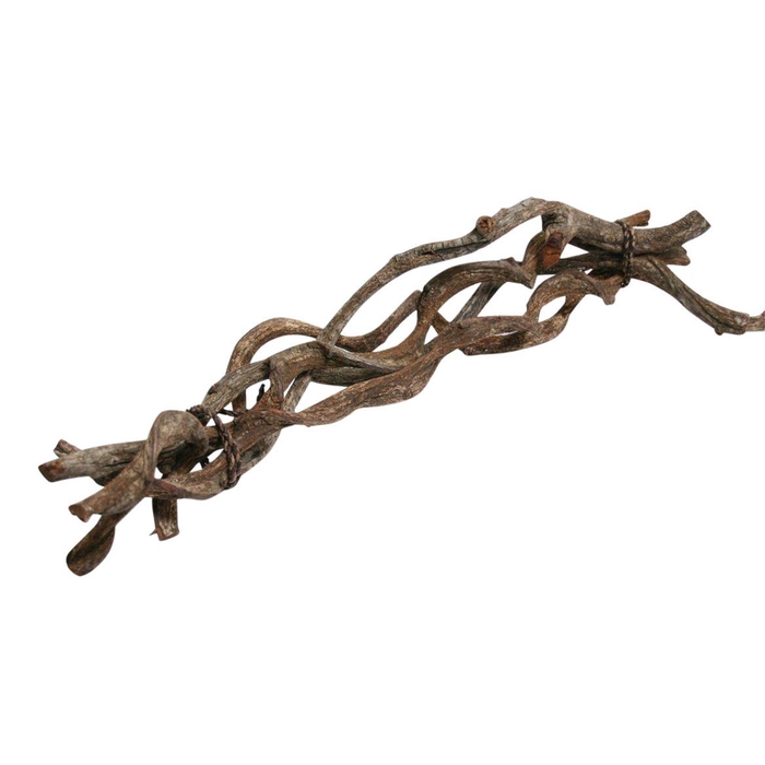 <h4>Bundle Curly Vine 5pc L60 D2/5</h4>