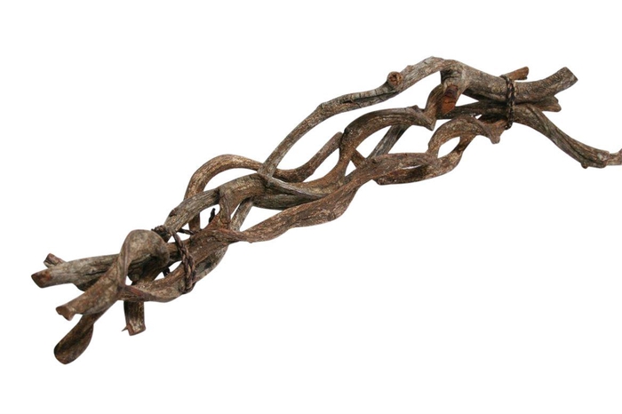 Bundle Curly Vine 5pc L60 D2/5