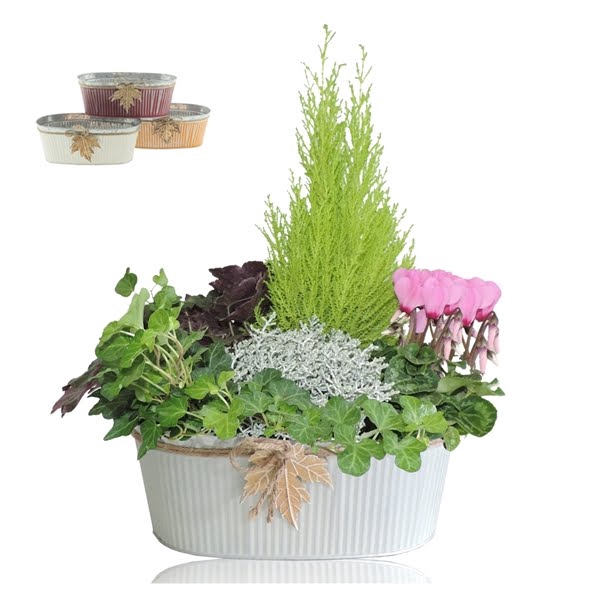 <h4>Collectie Autumn Leaf Arrangement in Zinken Schaal Ovaal 30 cm</h4>