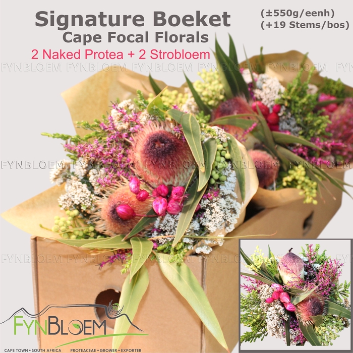 <h4>PROTEA PER BOS</h4>