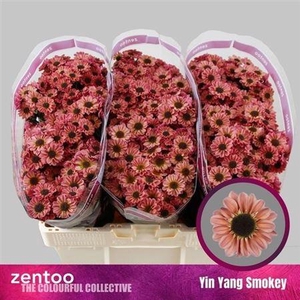 Chr S Yi Yan Smokey