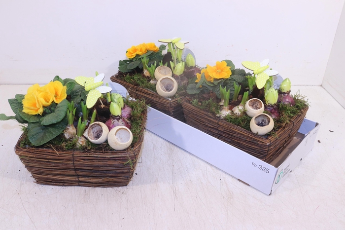 <h4>ARR TUINPLANTEN</h4>