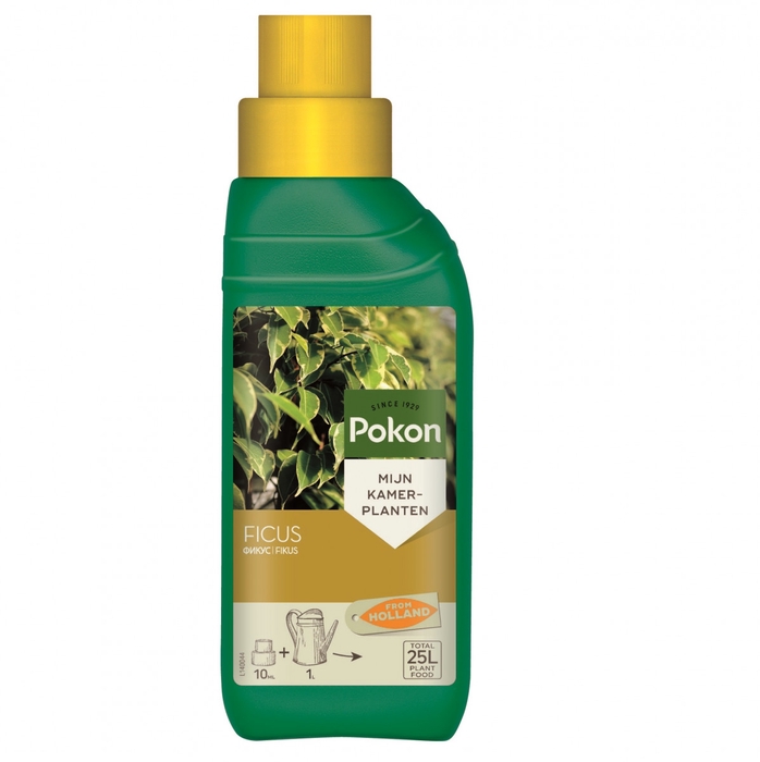 Care pokon ficus 250ml