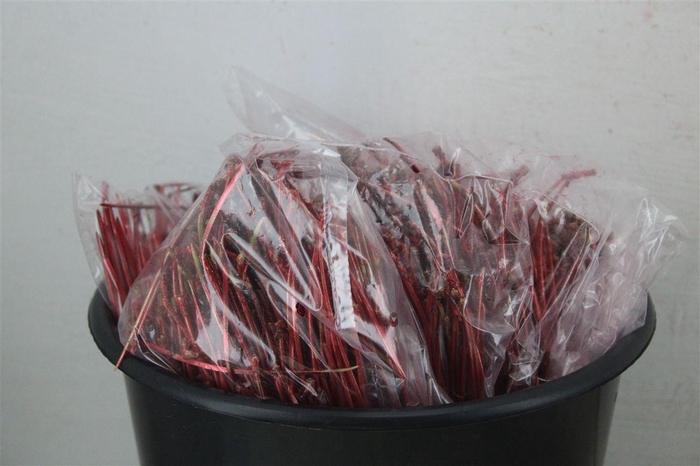 <h4>Dennen Naalden Metalic Red</h4>