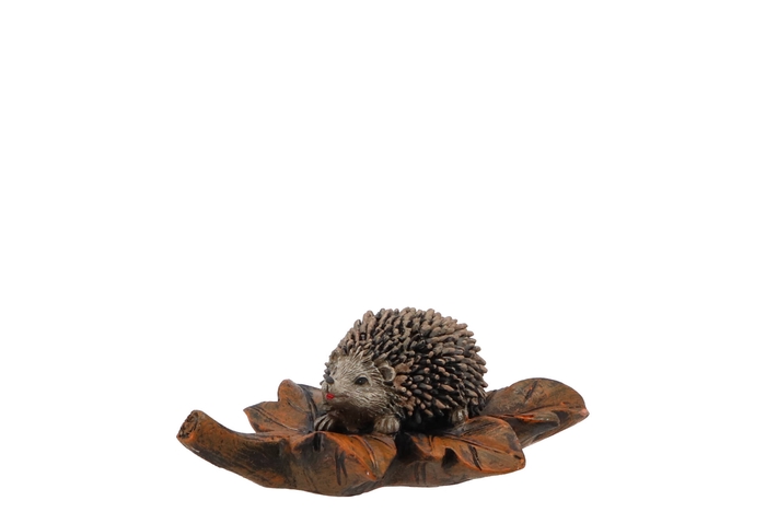 Hedgehog Poly On Leaf Natural 10cm Nm