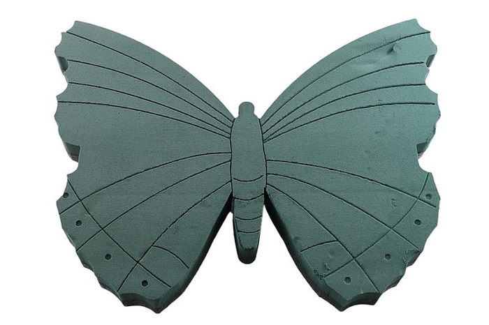 Oasis Butterfly Foam Frames 58x46cm