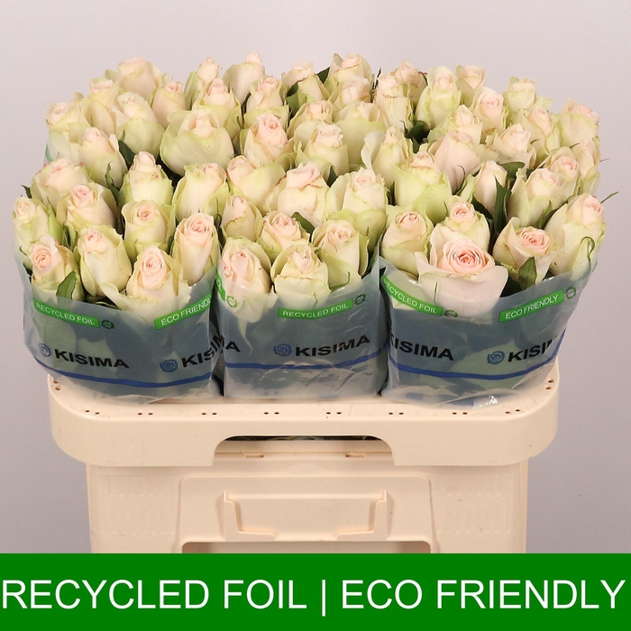 <h4>R GR HIGH & BRIDAL</h4>