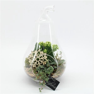 ESCR-2503W Essentials terrarium