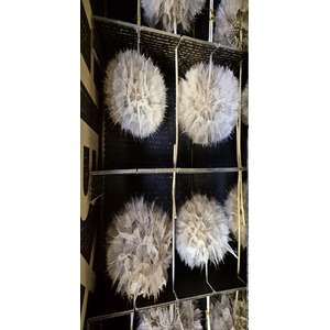 Y PRES PUSTE FLOWER COFFEE