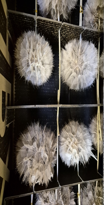 <h4>Y PRES PUSTE FLOWER COFFEE</h4>