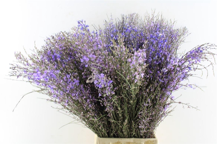 <h4>Ginster Milka 400 Gram</h4>