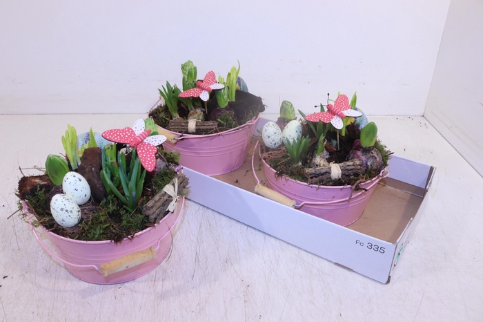 <h4>ARR BOL KNOLGEWAS</h4>