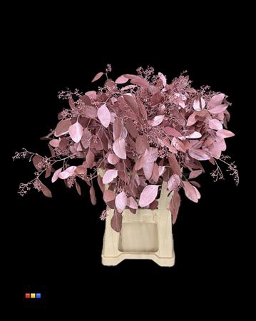 <h4>Populus Metallic Pink</h4>