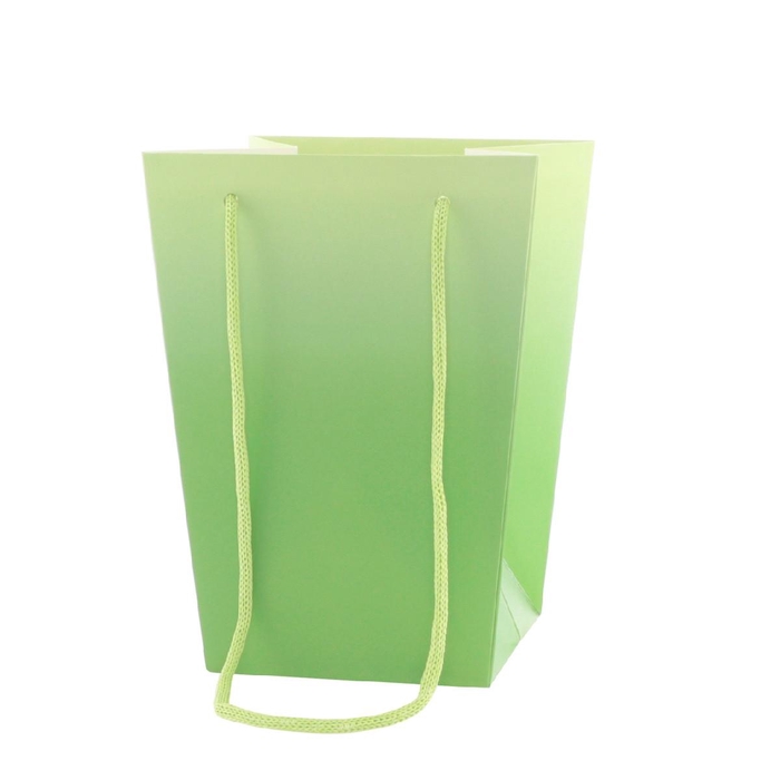 Tassen Noor 15/15*11/11*20cm