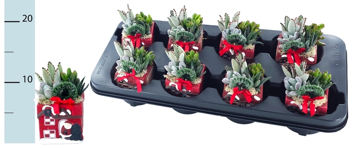 <h4>ARR KERST</h4>