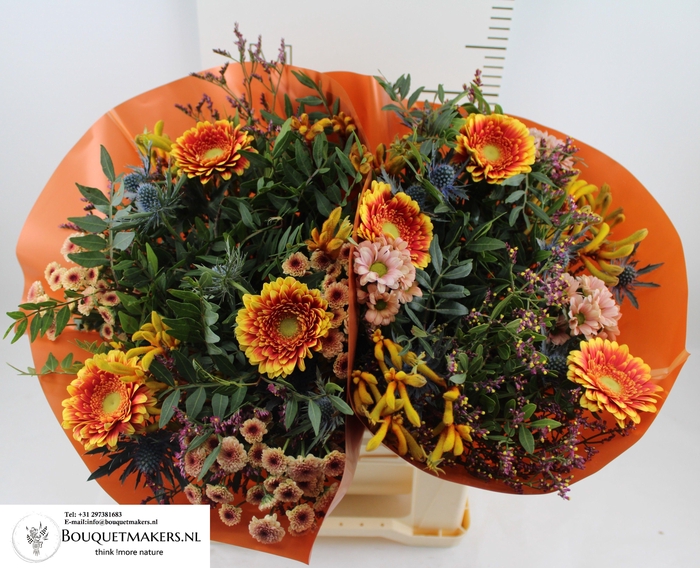 <h4>GEM BOEKET OV</h4>