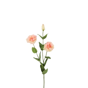 Lisianthus Real Touch 73cm