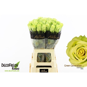 R Gr Green Generation