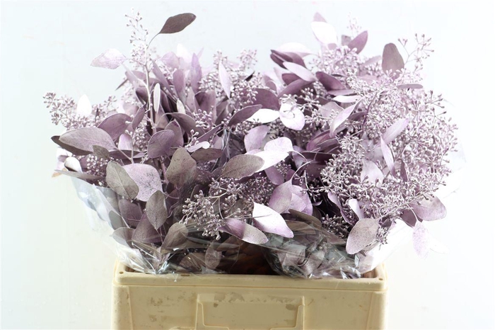 <h4>Euca Populus Berry Metal Lila P Bunch</h4>