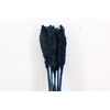 Dried Sorghum 6pc Dark Blue Bunch