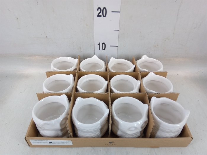 <h4>Pot   ...Keramische H%</h4>