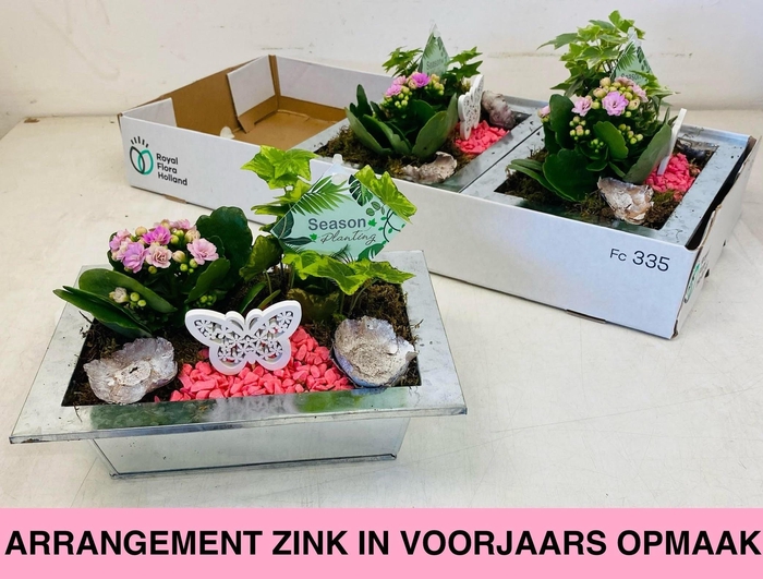 <h4>ARR KAMERPL</h4>