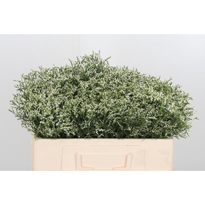 Lim Sin Clear Diamon